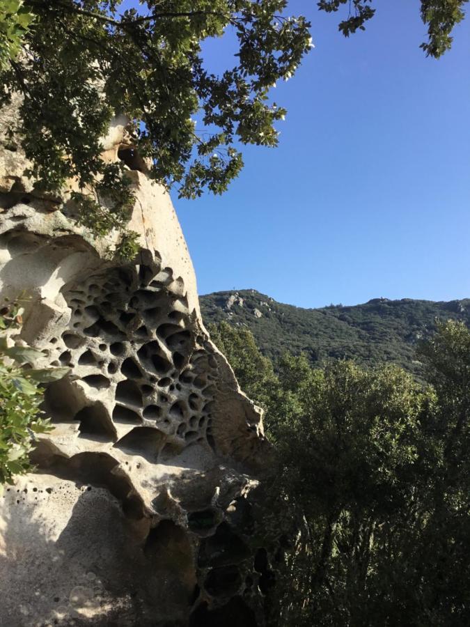 La Casa Di Marco Villa Nuoro  Bagian luar foto